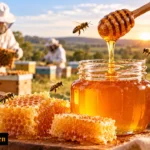 honey fraud Australia